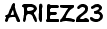 Ariez23